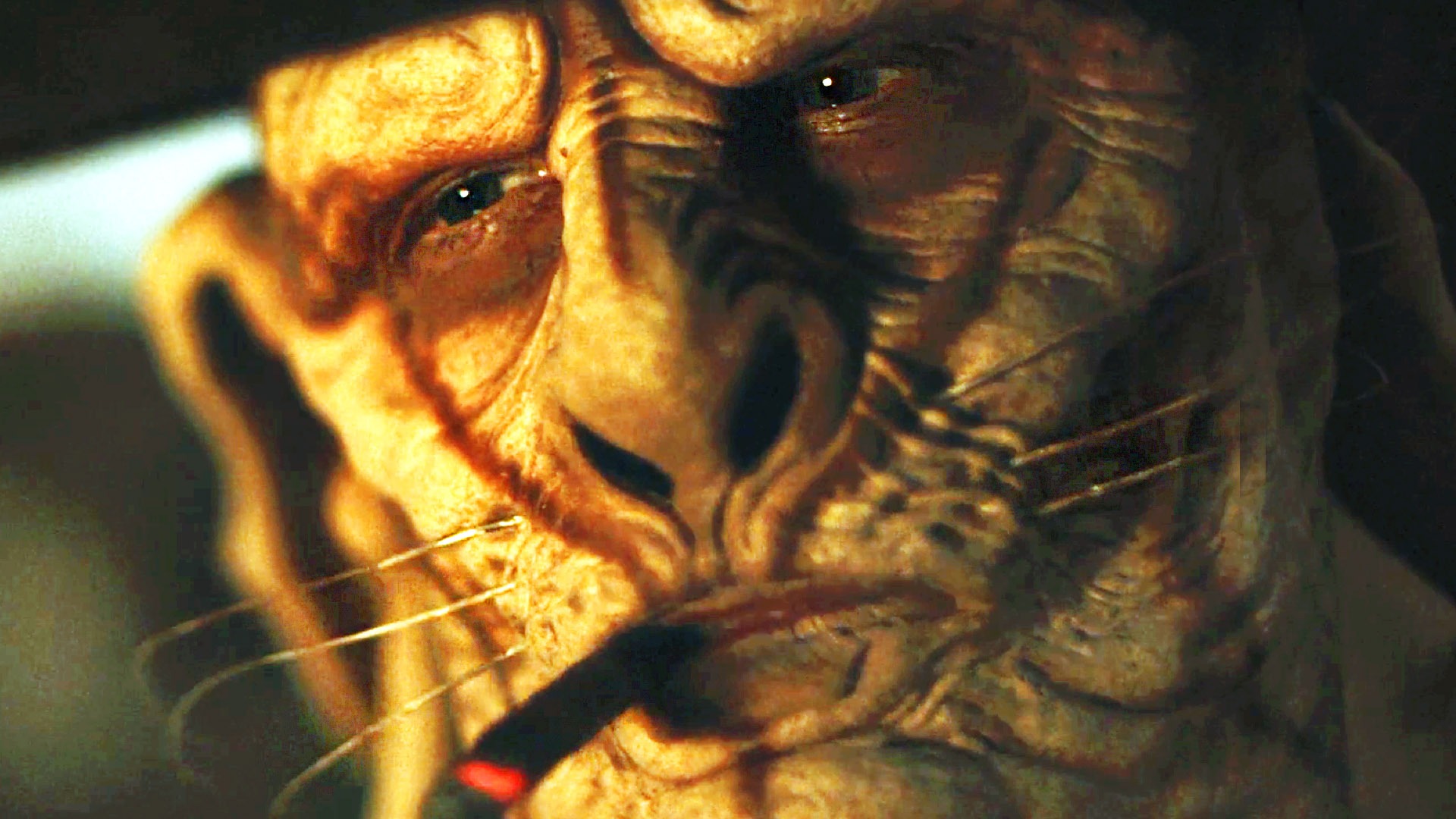 Rottentail – Comedy Feature Rottentail – Comedy Feature