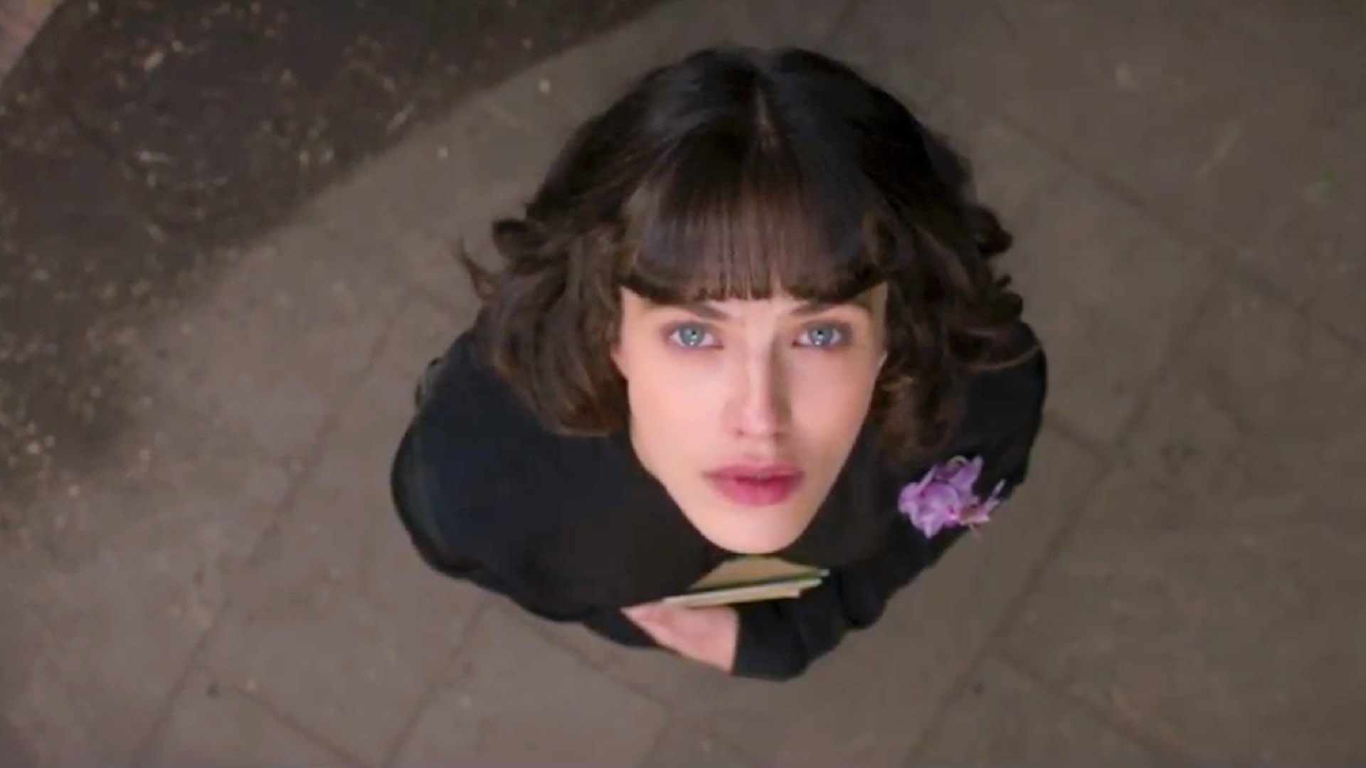 This beautiful fantastic 2016 fandango