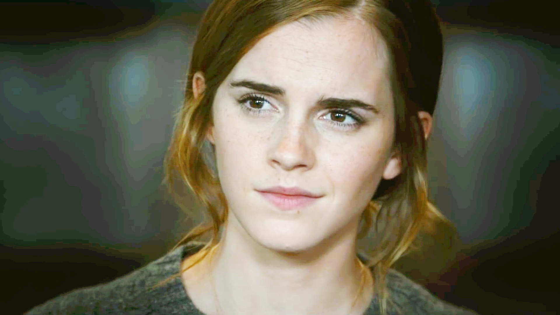 The Circle (2017) (2017) Fandango