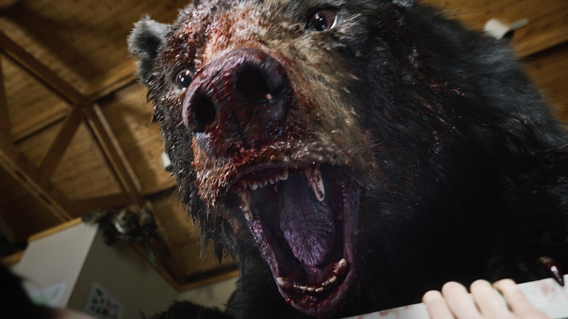 Cocaine Bear - Apex Predator [Mens Shirt] – Horrormerch.com