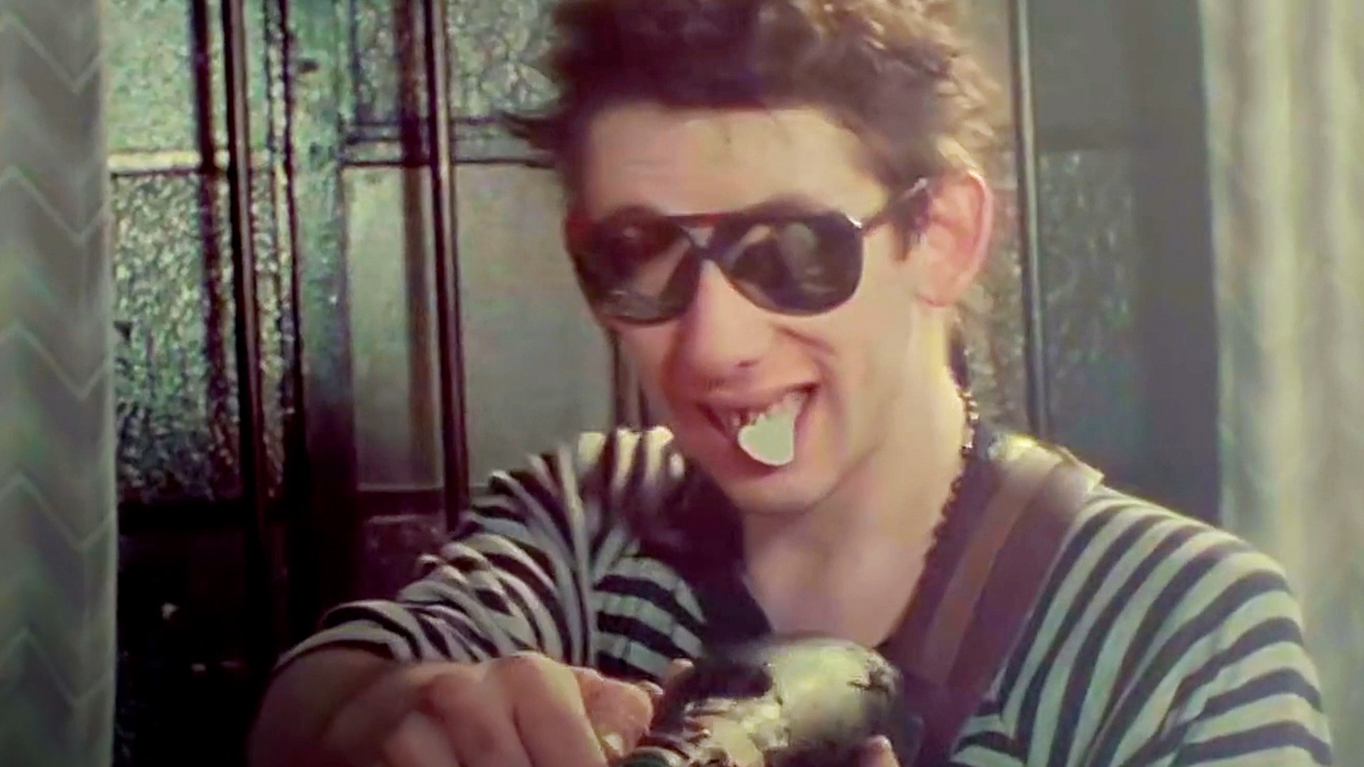 Crock of Gold: A Few Rounds With Shane MacGowan: Trailer 1 - Trailers
