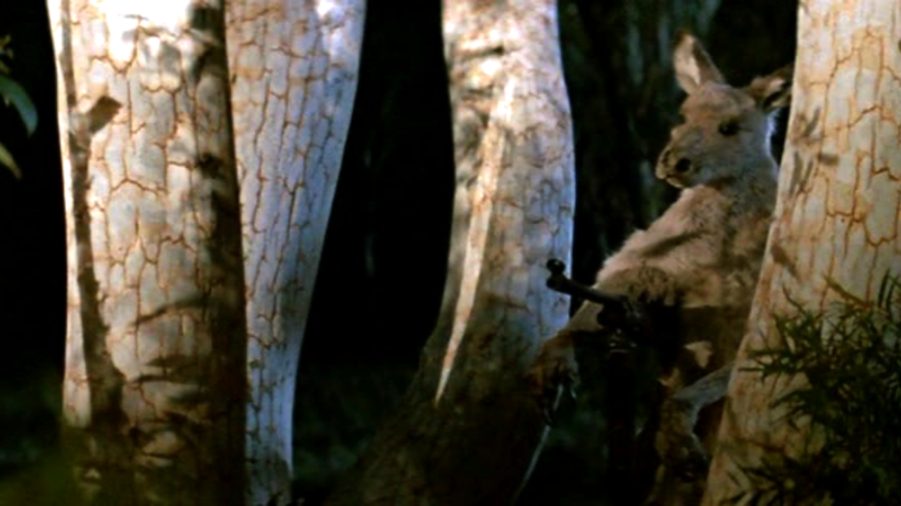 Crocodile Dundee Official Clip Skippy Gets Even Trailers & Videos Rotten Tomatoes