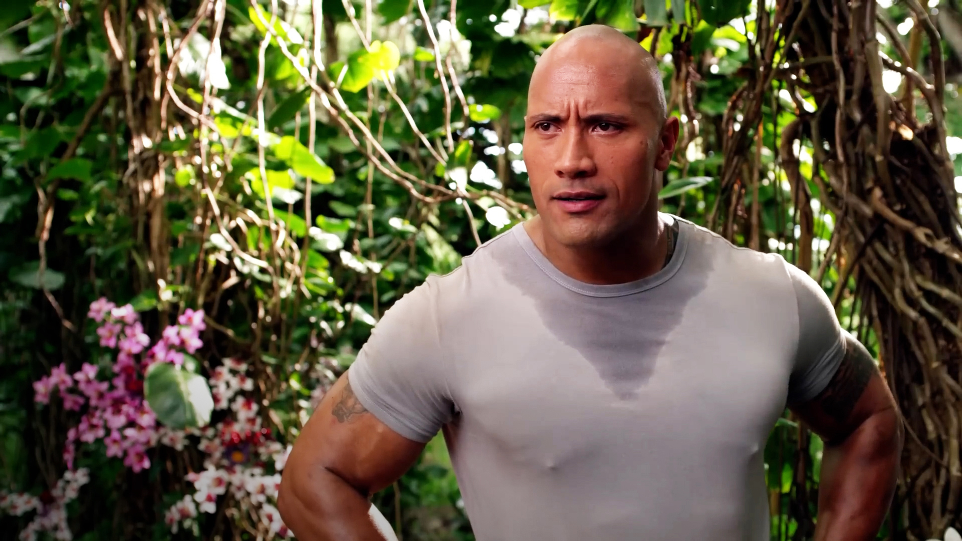 Journey 2: The Mysterious Island: Trailer 1, image size:1920x1080