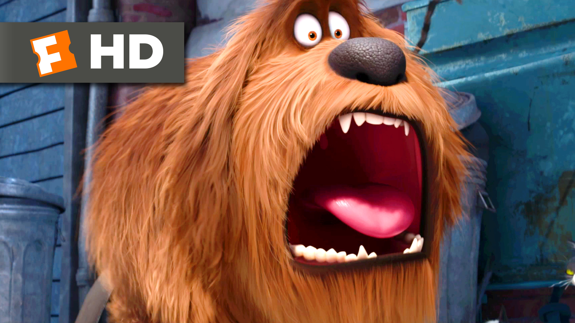 7 Fun Facts From The Secret Life Of Pets  Mrs Kathy King