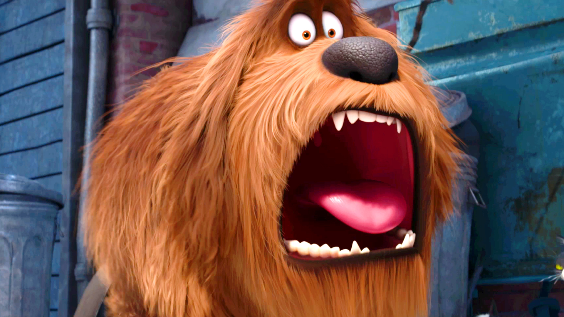 The Secret Life of Pets download the new version for ios