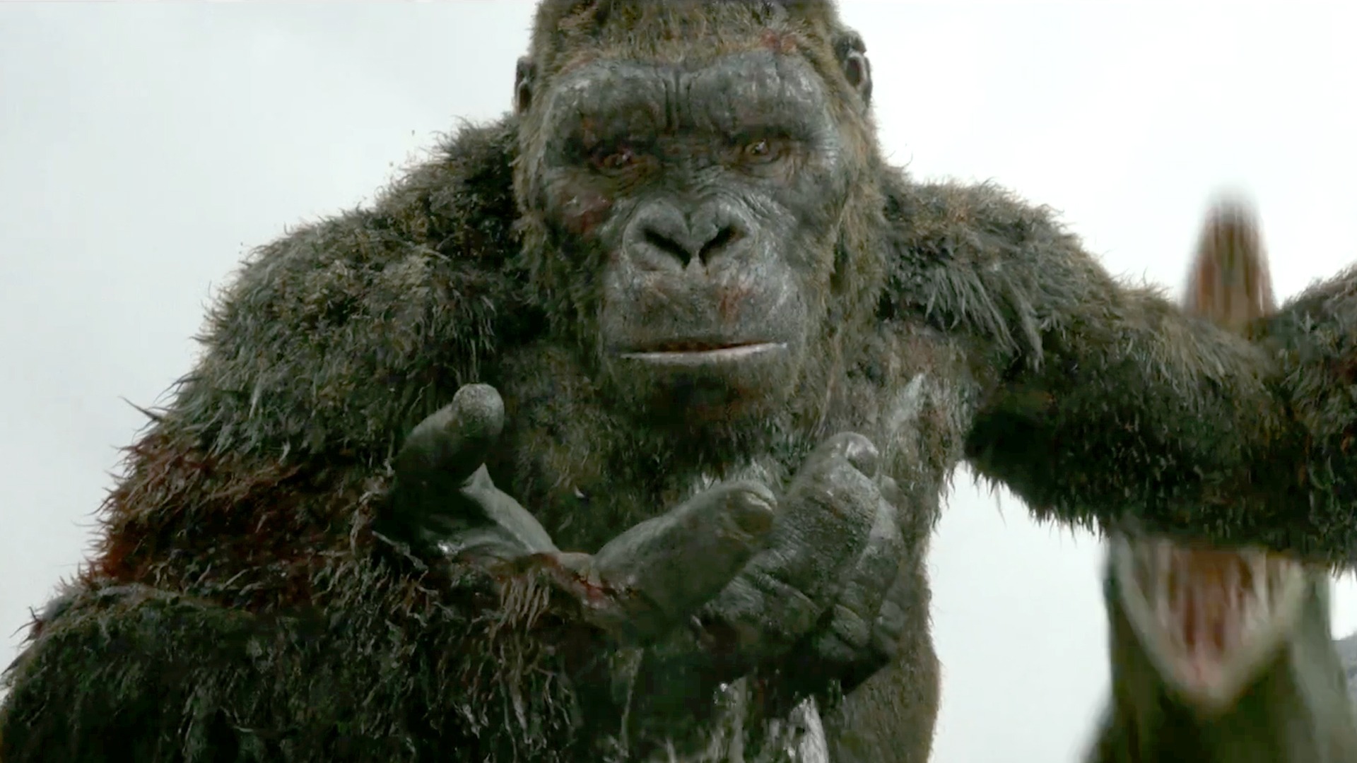 Kong: Skull Island Review. An enjoyable film… if you are an ape