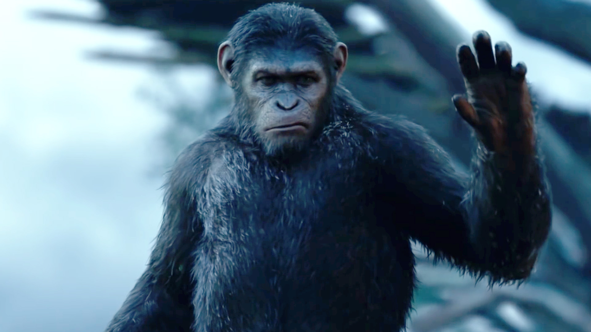 Dawn of the of the Apes Trailer 3 Trailers & Videos Rotten
