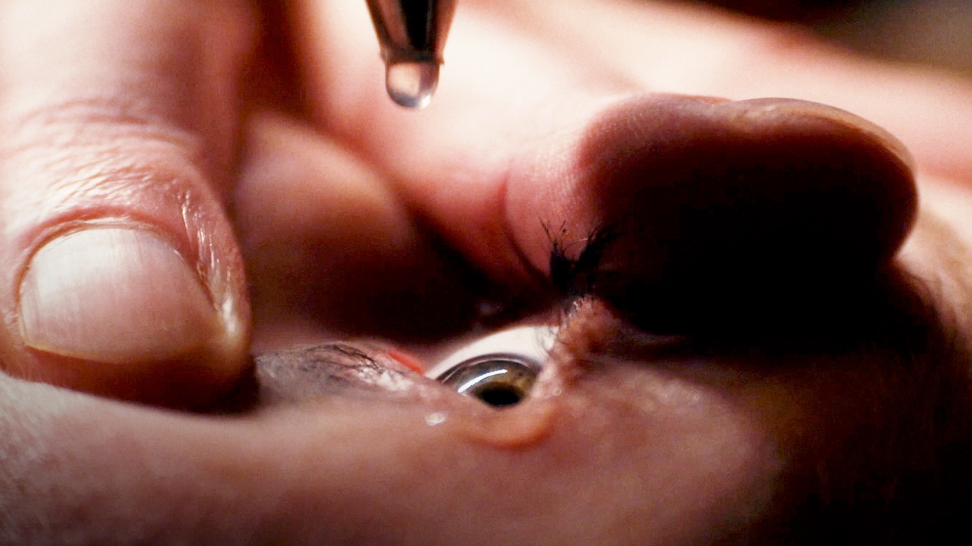 Masking Threshold Trailer 1 Trailers & Videos Rotten Tomatoes