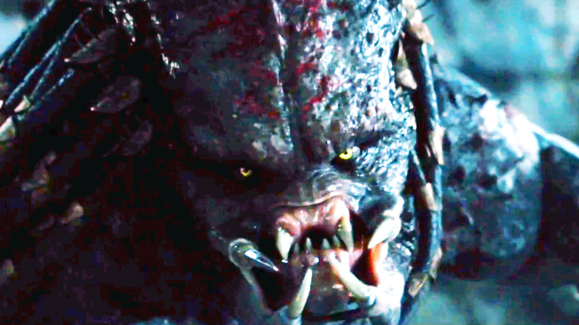 Alien Predator - Rotten Tomatoes