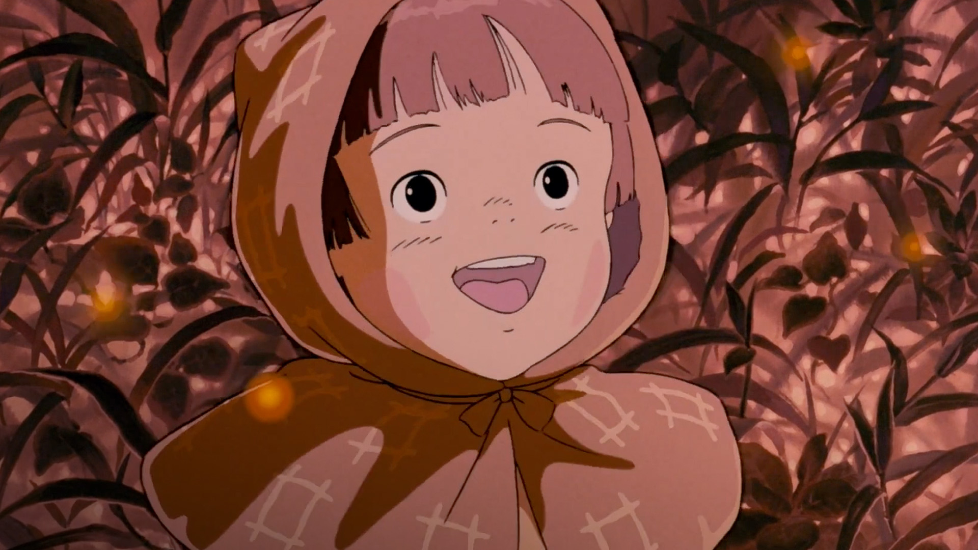 Grave of the Fireflies | Rotten Tomatoes