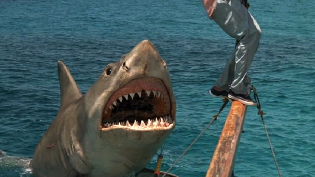 Jaws: The Revenge: Official Clip - A Big Fish - Trailers & Videos ...