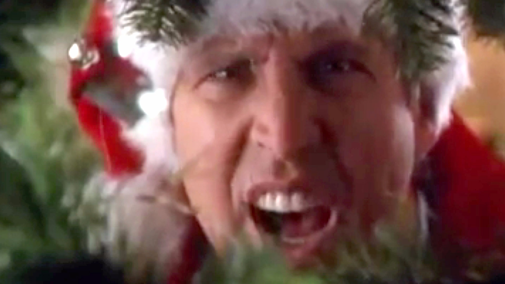 National Lampoon's Christmas Vacation: National Lampoons 