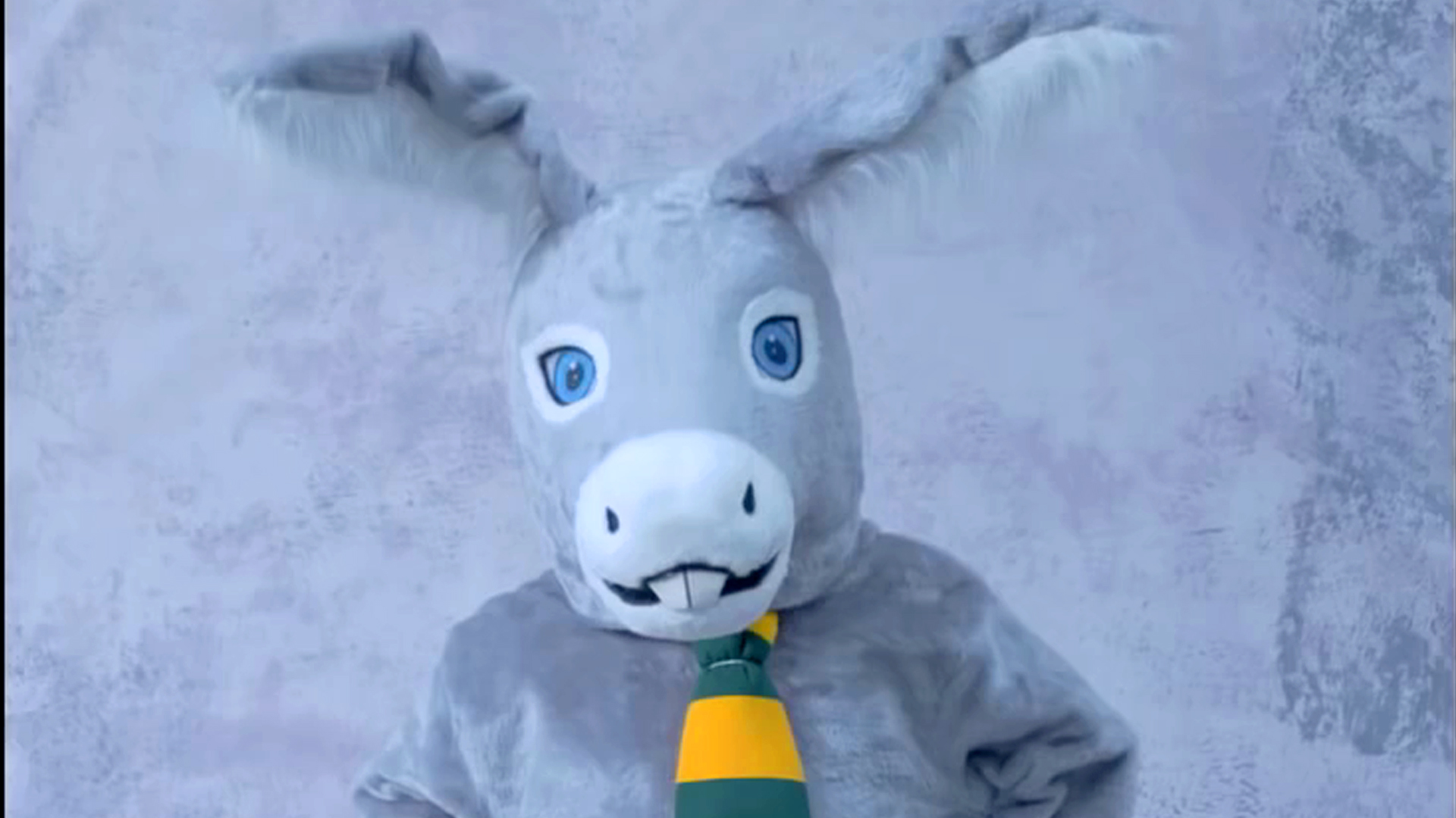 Mascots Movie Clip Judges Trailers & Videos Rotten Tomatoes