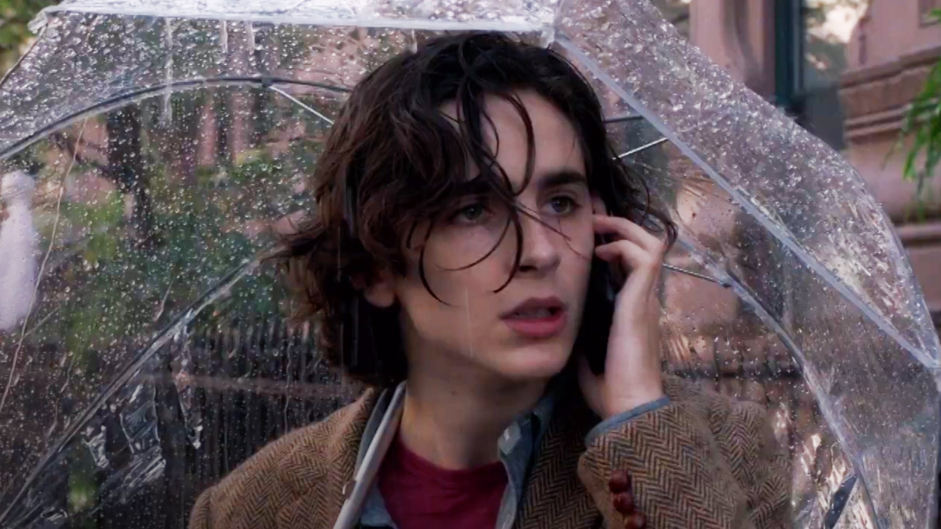 A Rainy Day In New York review: Timothée Chalamet is exceptional in  oddly-paced flick, Films, Entertainment