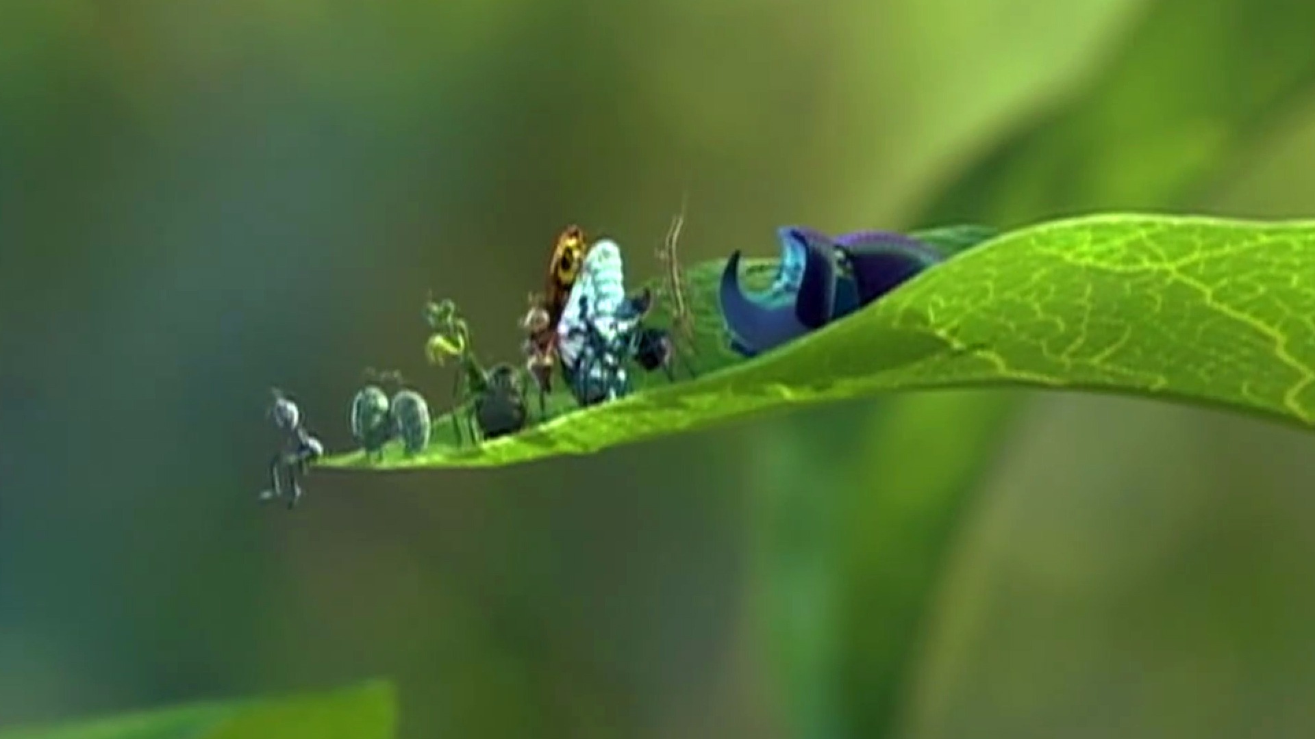A Bug's Life: A Bugs Life Teaser Trailer 1 - Fandango