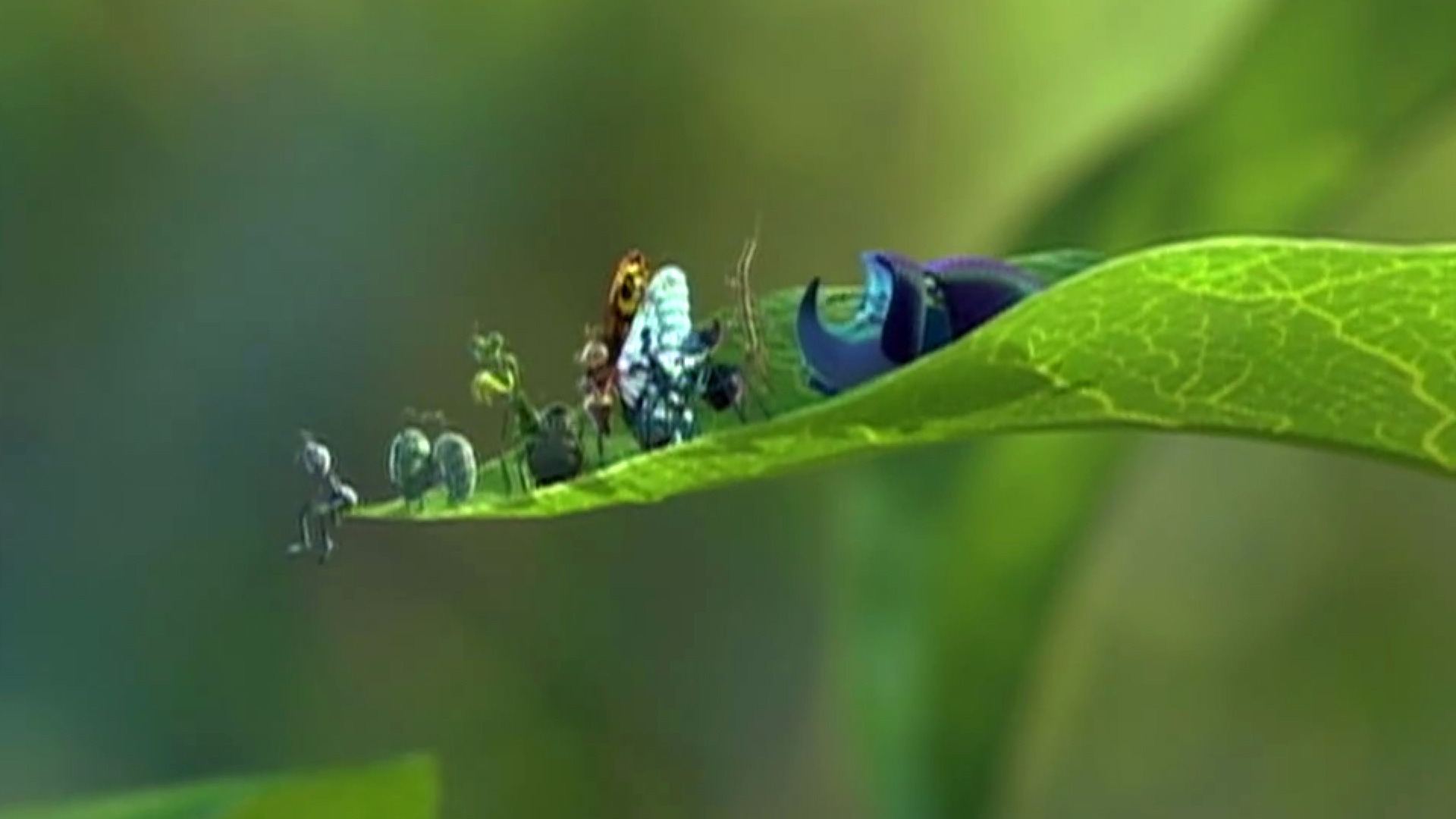 A Bug's Life: A Bugs Life Teaser Trailer 1 - Fandango