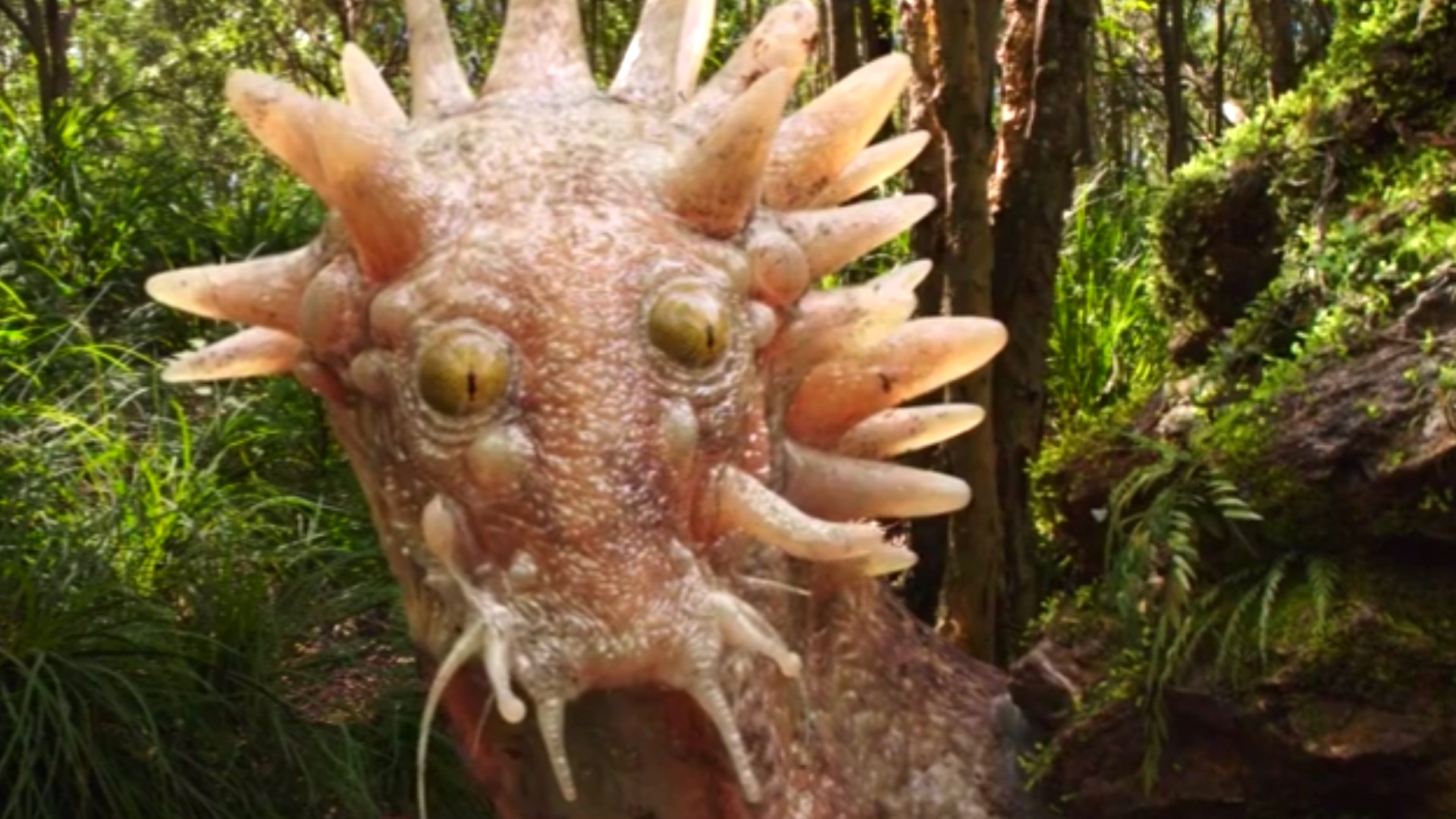 Love and Monsters Official Clip The ToadMonster Trailers & Videos