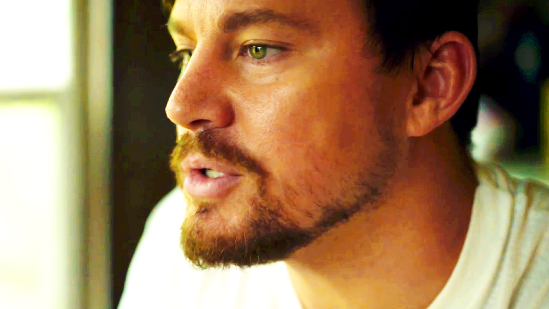 Logan Lucky - Rotten Tomatoes