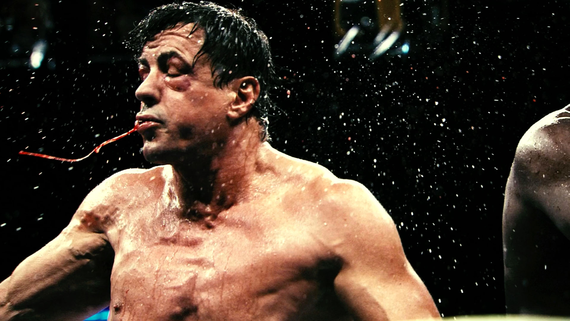 The 6 Fights That Defined The Life Of Rocky Balboa Hu - vrogue.co