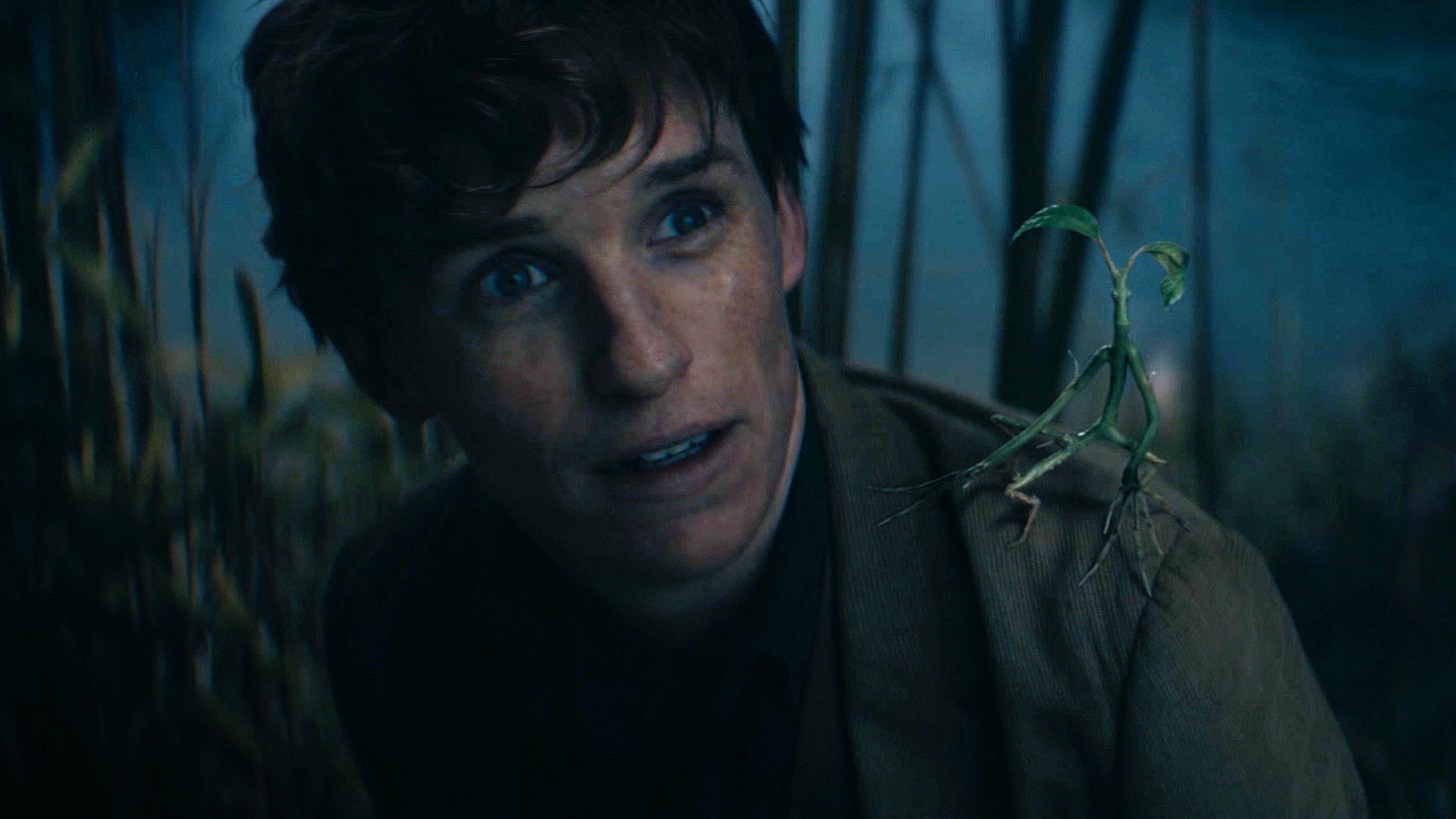 Harry Potter Trailers & Videos Rotten Tomatoes