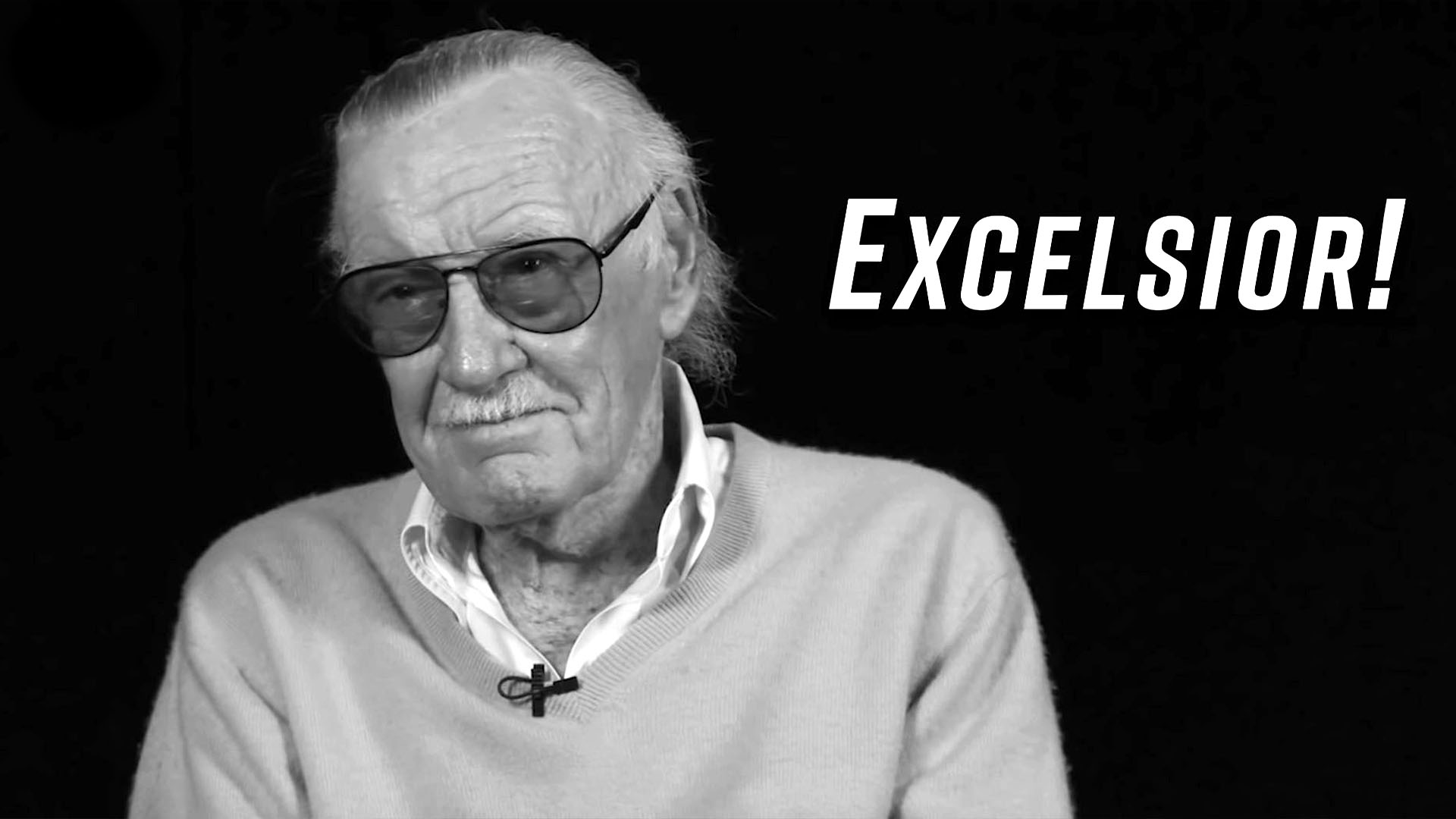 Http Www Fandango Movie Trailer Adogswayhome 215000 Rt Stanlee Clean Jpg