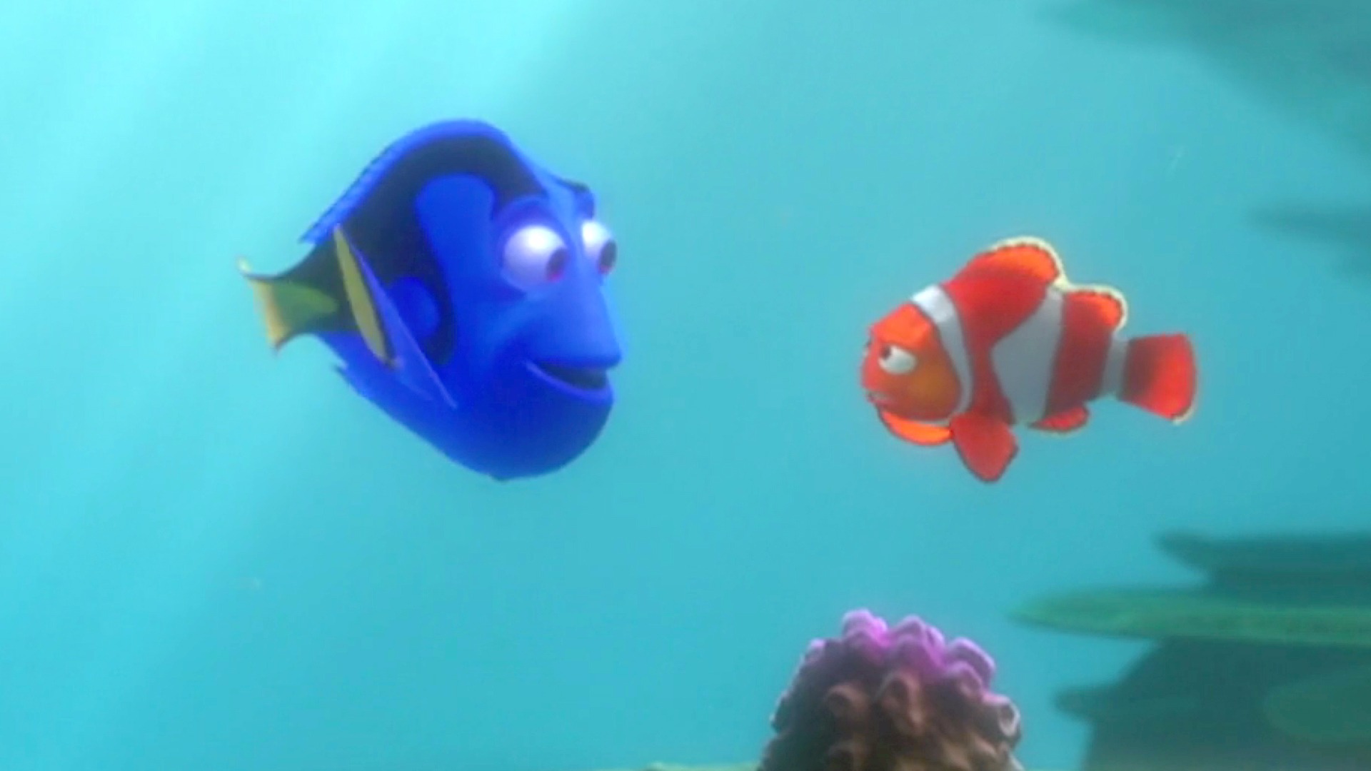 Finding Nemo: Finding Nemo Trailer 1 - Fandango