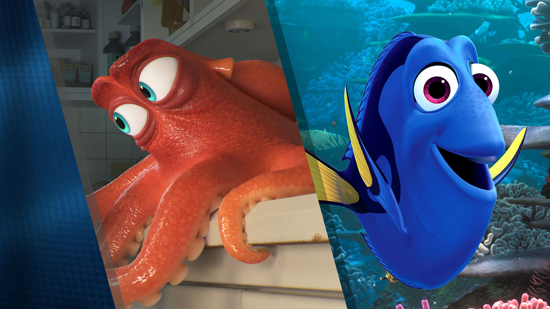 Finding Dory: Finding Dory Trailer 2 - Fandango