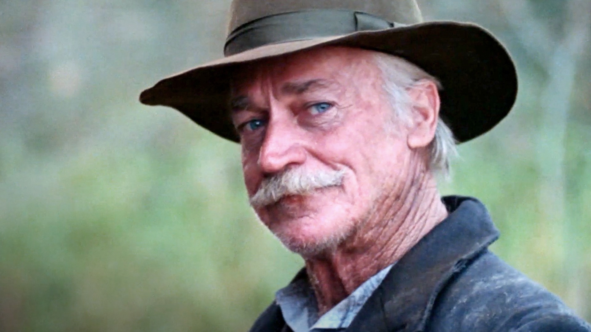 The Grey Fox | Rotten Tomatoes The Grey Fox | Rotten Tomatoes