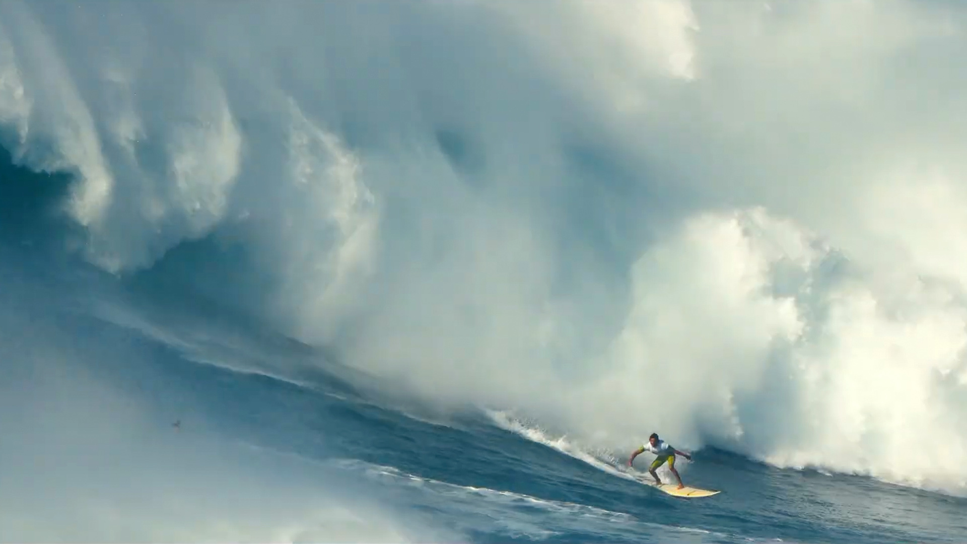 WTW Surf 33/100 絵画 WTW Surf 33/100 AUTUMN ART｜【公式】WTW通販｜