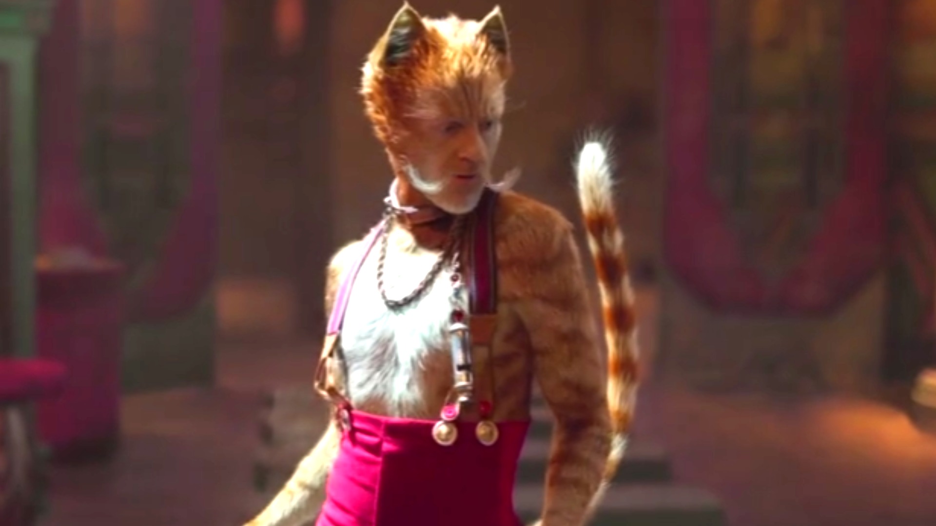 Rotten Tomatoes is Wrong About... Cats Trailers & Videos Rotten