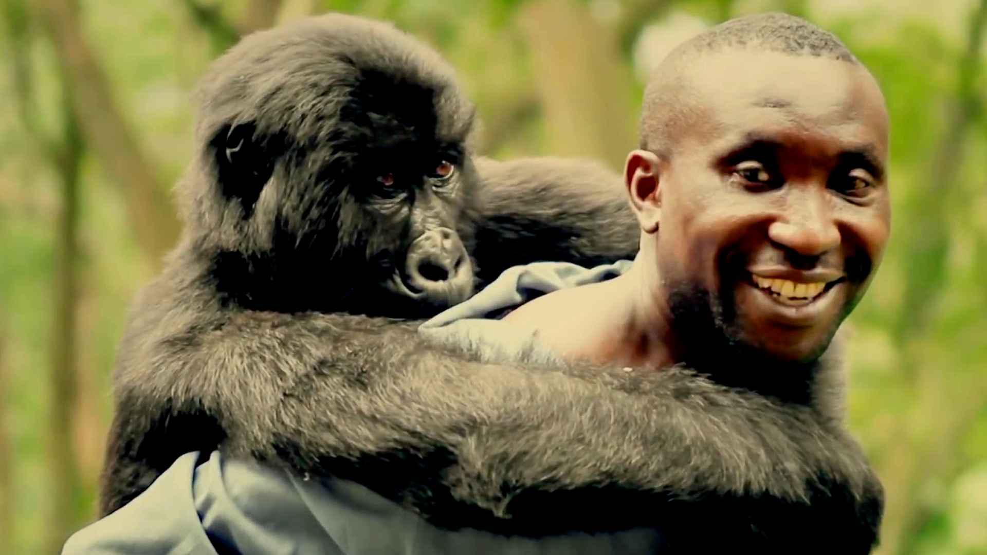 Virunga - Rotten Tomatoes