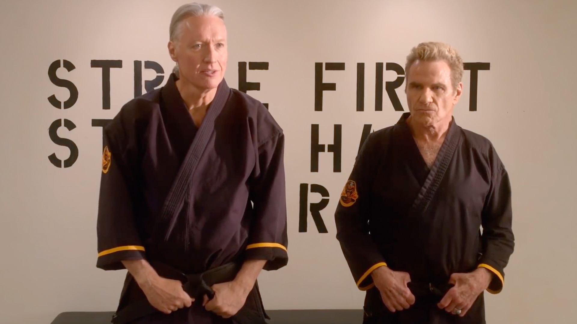 Quiz de series: Cobra Kai Karatê 1ª a 3ª Temporada