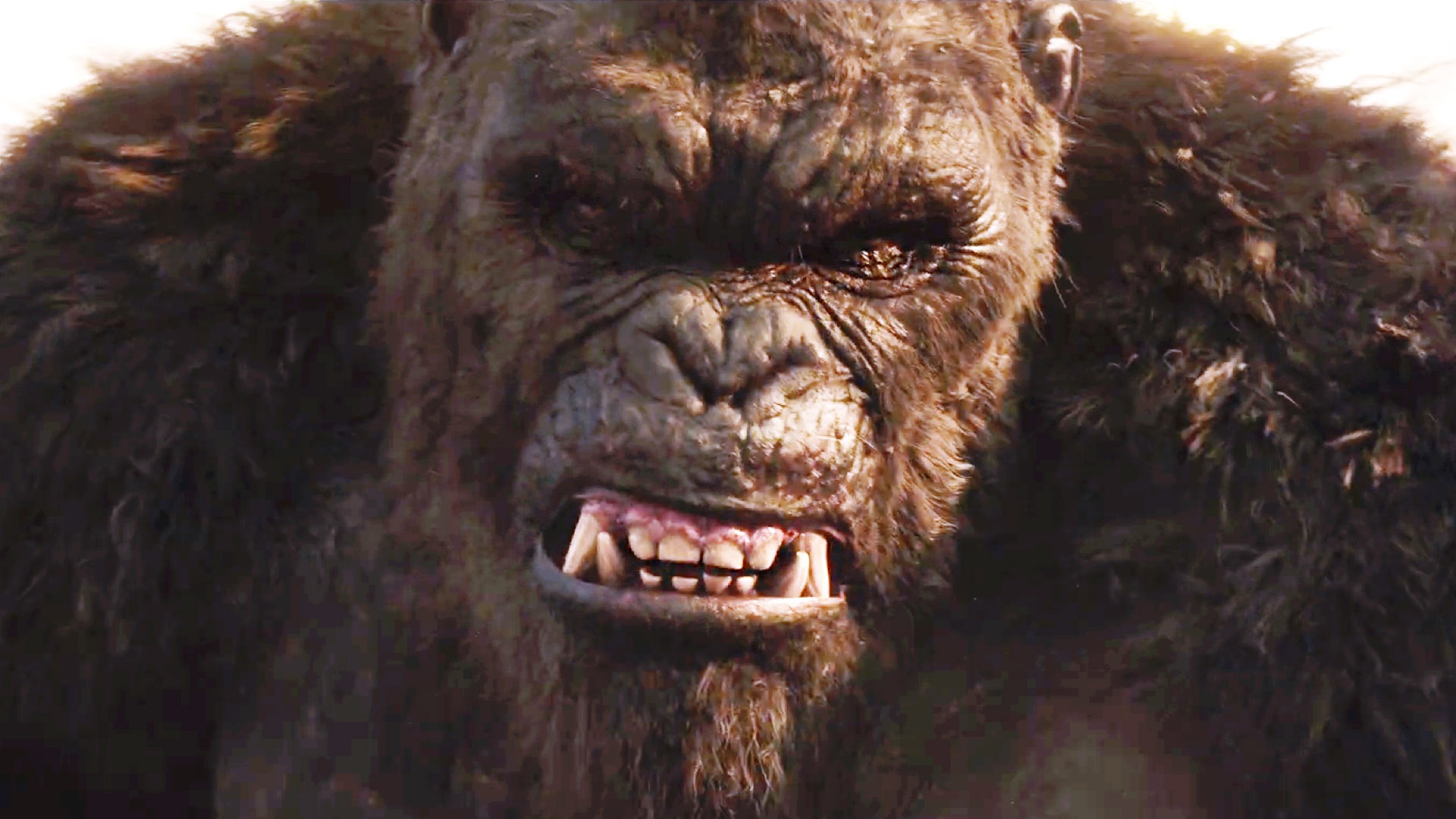 Godzilla vs. Kong Exclusive Interview Trailers & Videos Rotten